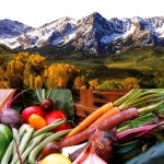 Vegetable Gardening eBook by TwoDot – 417 Page Guide with Enhanced-0