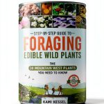Burnout Healing Guide for Gardeners Wells and Lilac Kindle eBook-0