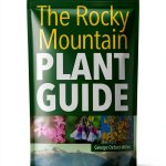 Idaho and Montana Travel Guide by Adventure Publications eBook-0