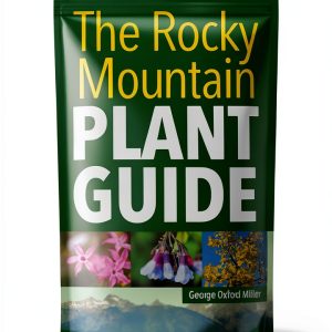 Idaho and Montana Travel Guide by Adventure Publications eBook-0