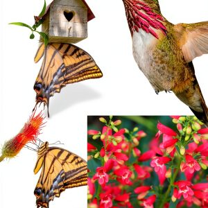 Gardening Book Adventure Publications Nature Friendly eBook 441 Pages-0
